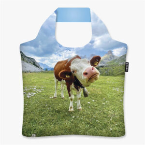 Ecozz tas Moo.....