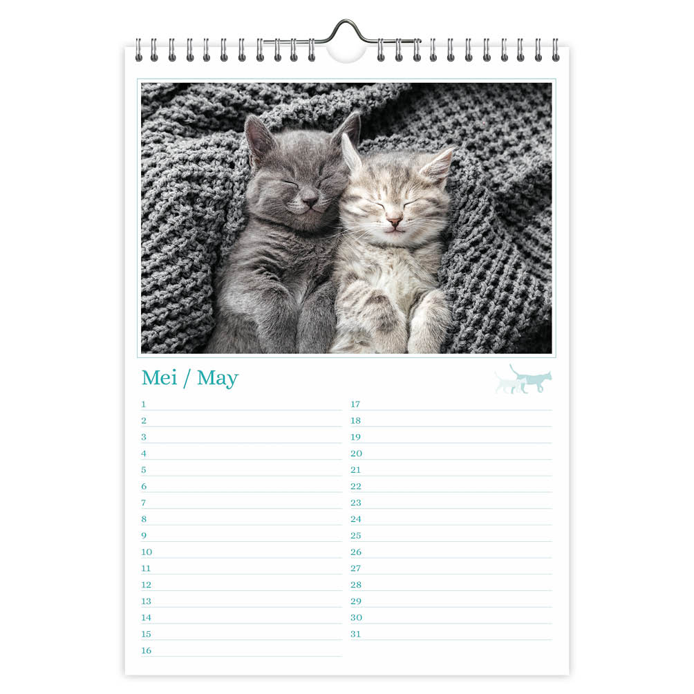 Cats A4 verjaardagskalender - Afbeelding 2
