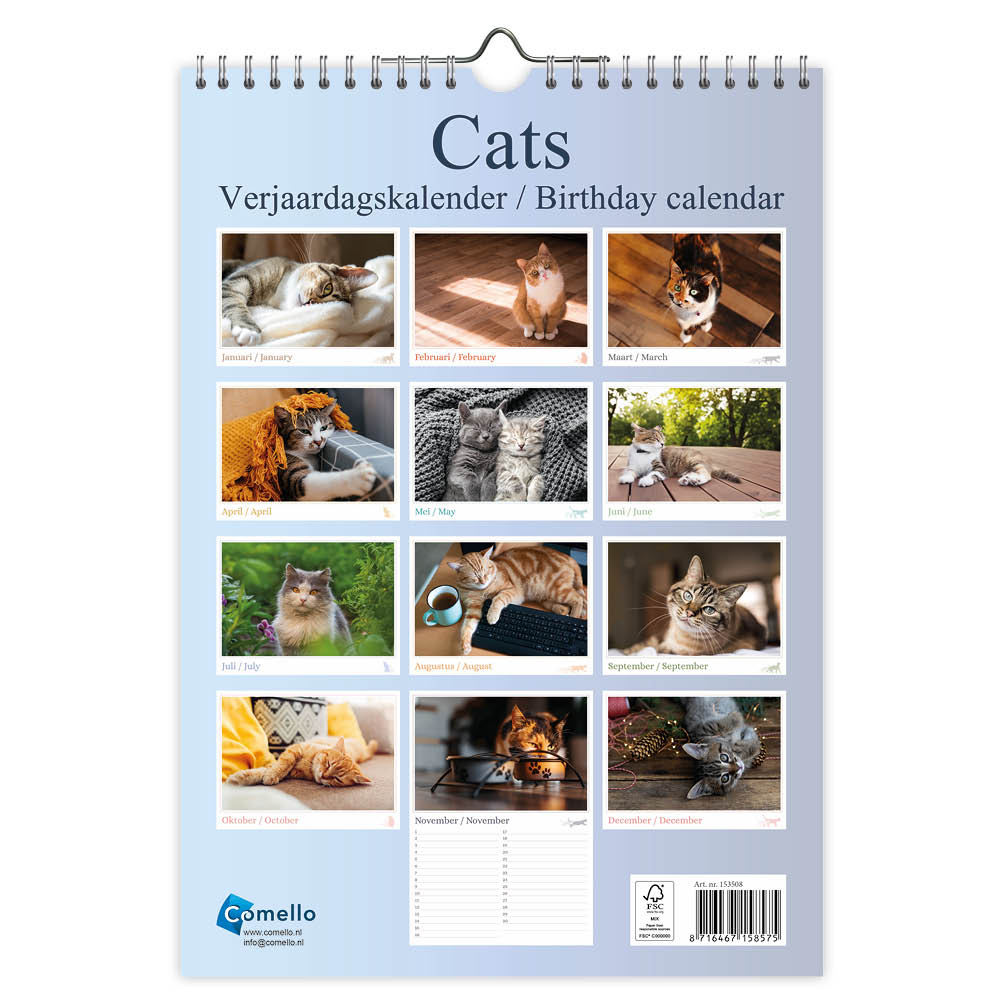 Cats A4 verjaardagskalender - Afbeelding 3