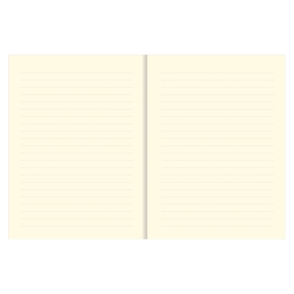 Bookbound Journal Peter Pauper The Universe - Afbeelding 3