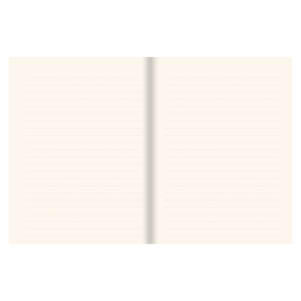 Bookbound Journal Peter Pauper Golden Flight - Afbeelding 3