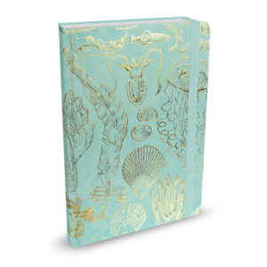 Mid Size Journal Peter Pauper Sealife Sketches
