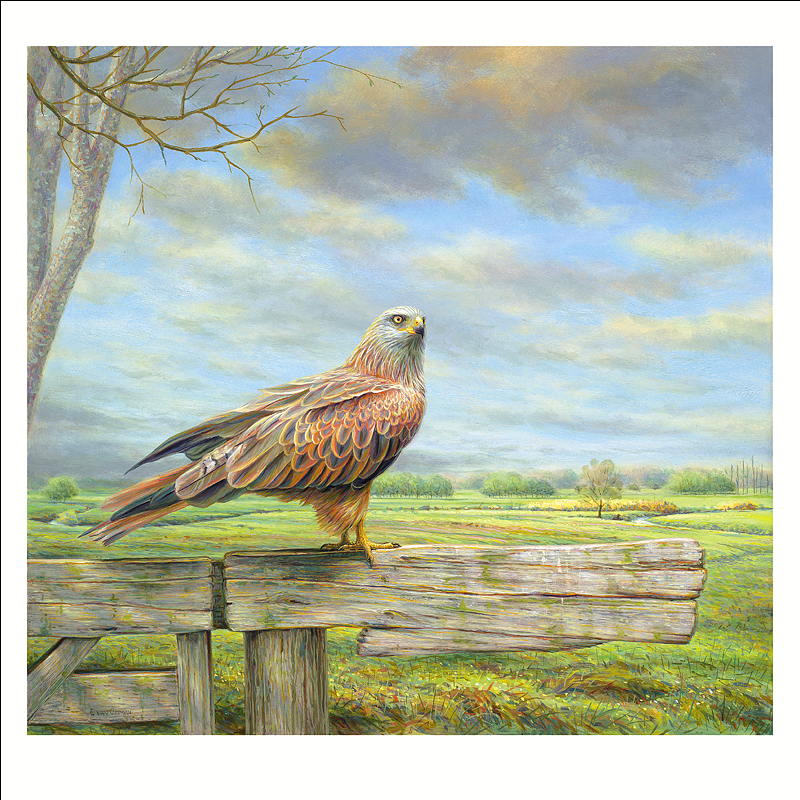 Art Revisited kaarten medium