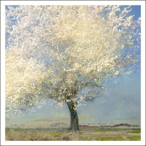 Art Revisited kaarten medium