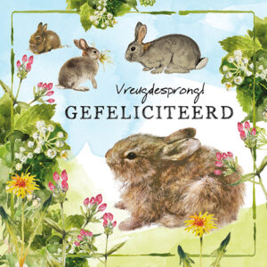Rien Poortvliet Lang Leve de Boerderij kaarten