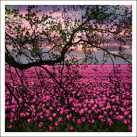 Art Revisited kaarten medium