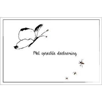 Sympathy/Petit Paris rechthoekige kaarten (liggend)