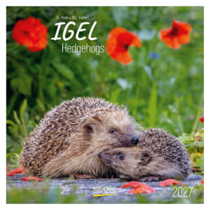 Egels kalender 2027