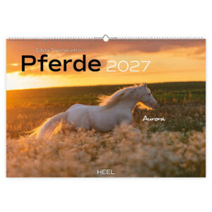 Paarden kalender 2027