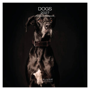 Dogs kalender 2027