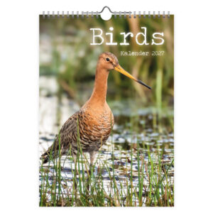 Birds 2027