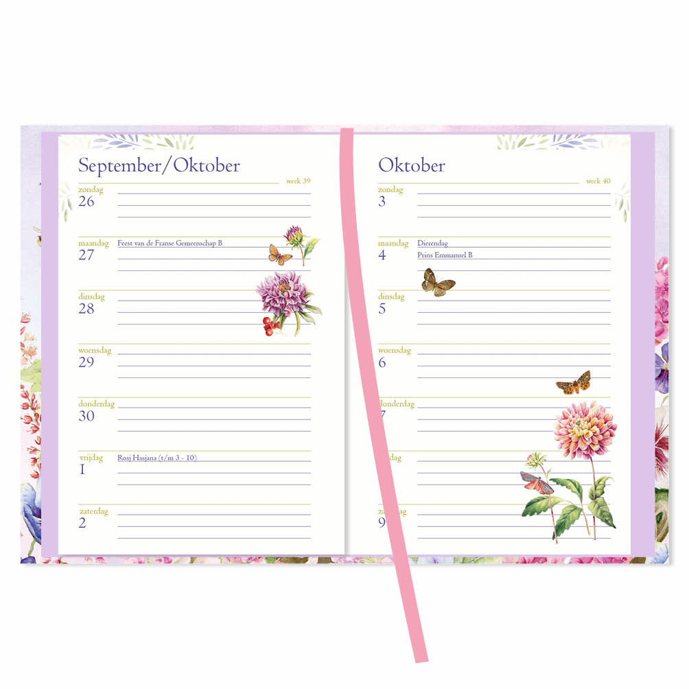 Janneke Brinkman zakagenda Hibiscus 2027 - Afbeelding 2