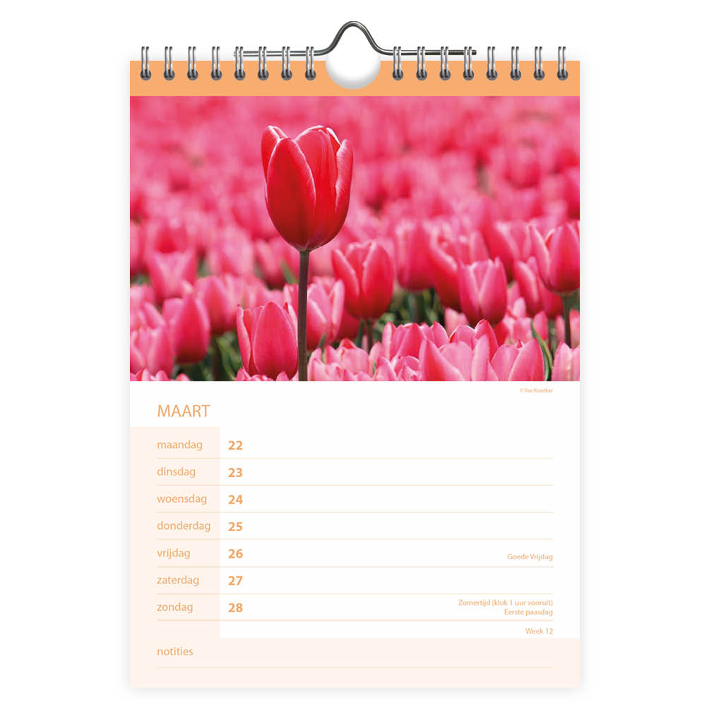 Bloemen WEEKnotitiekalender 2027 - Afbeelding 2