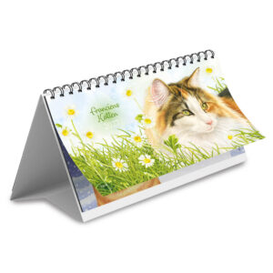 Franciens Katten deskkalender 2027