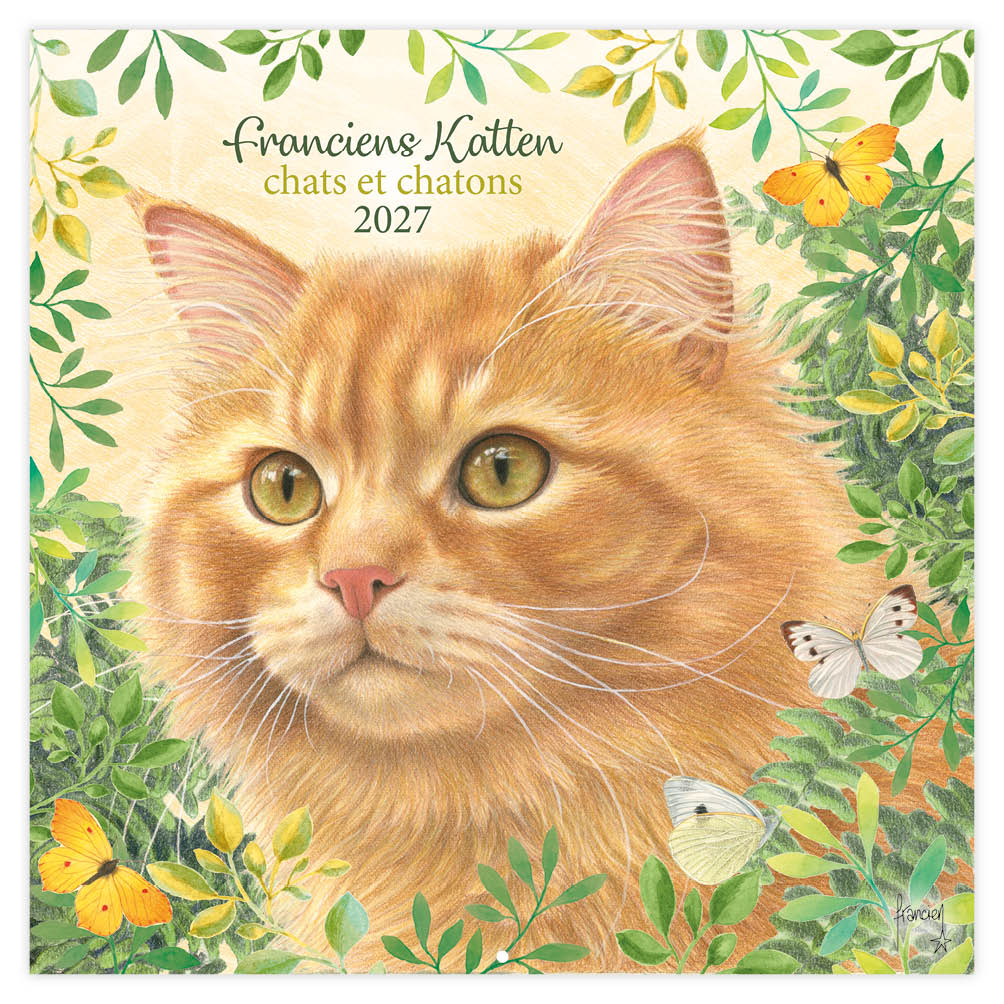 Franciens katten kalender (Plenty gifts 271047) 2027