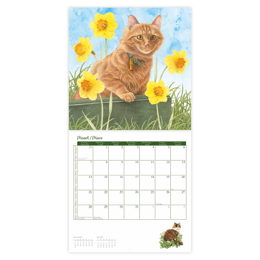 Franciens katten kalender (Plenty gifts 271047) 2027 - Afbeelding 2