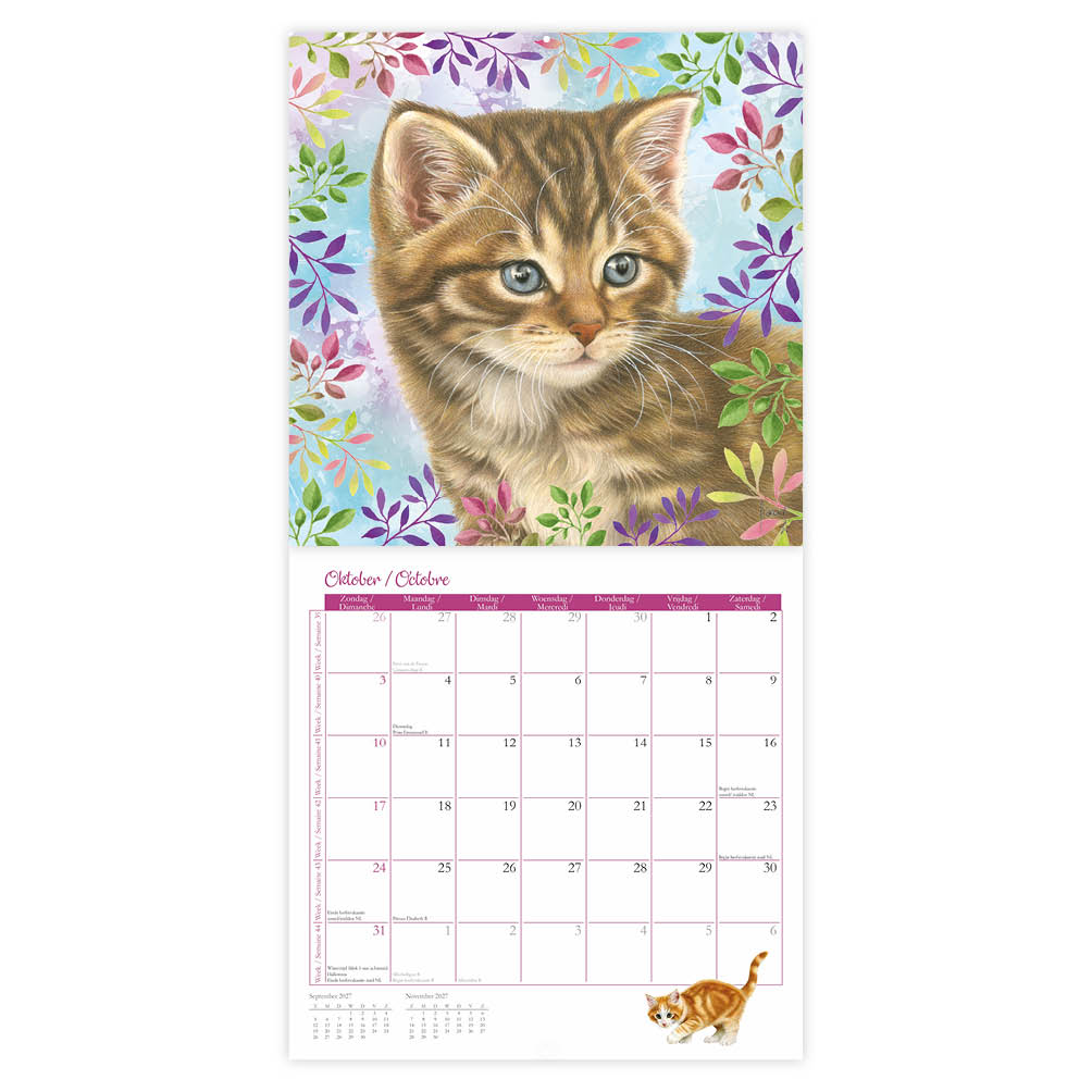 Franciens katten kalender (Plenty gifts 271047) 2027 - Afbeelding 3