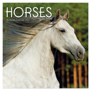 Horses kalender 2027