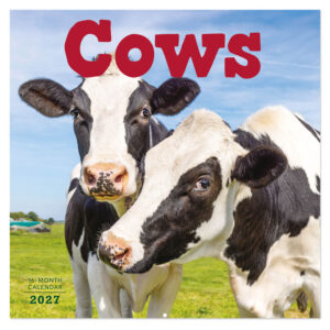 Cows kalender 2027
