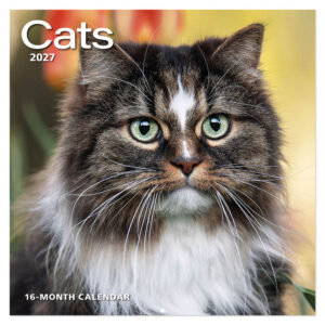 Cats kalender 2027