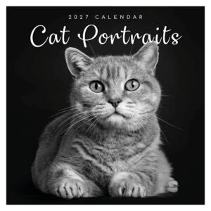 Cat portraits kalender 2027