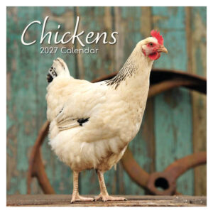 Chickens kalender 2027