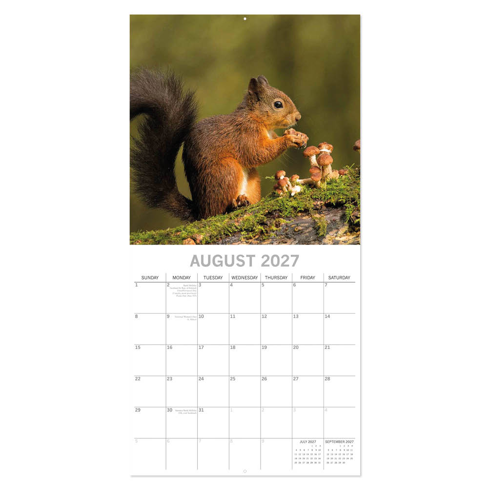 Country Wildlife kalender 2027 - Afbeelding 2