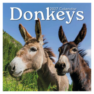 Donkeys kalender 2027