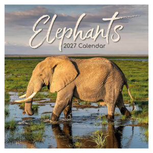 Elephants kalender 2027