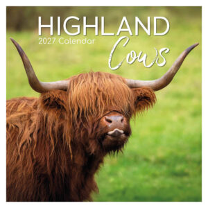 Highland Cows kalender 2027