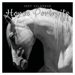 Horses portraits 2027