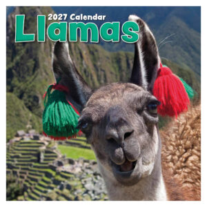 Llamas kalender 2027
