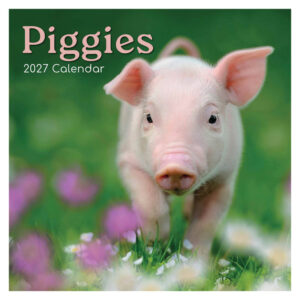 Piggies kalender 2027