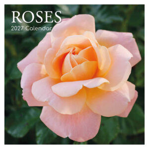 Roses kalender 2027