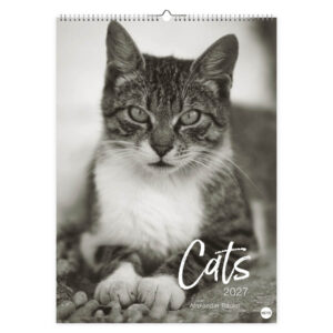 Cats zw/w  kalender 2027