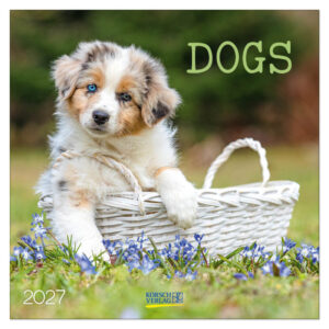 Dogs kalender 2027