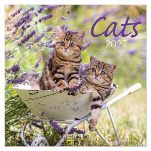 Cats kalender 2027