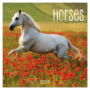 Horses kalender 2027