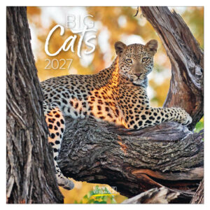 Big Cats kalender 2027