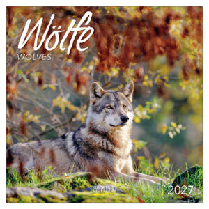 Wolves kalender 2027