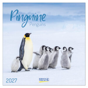 Pinguins kalender 2027