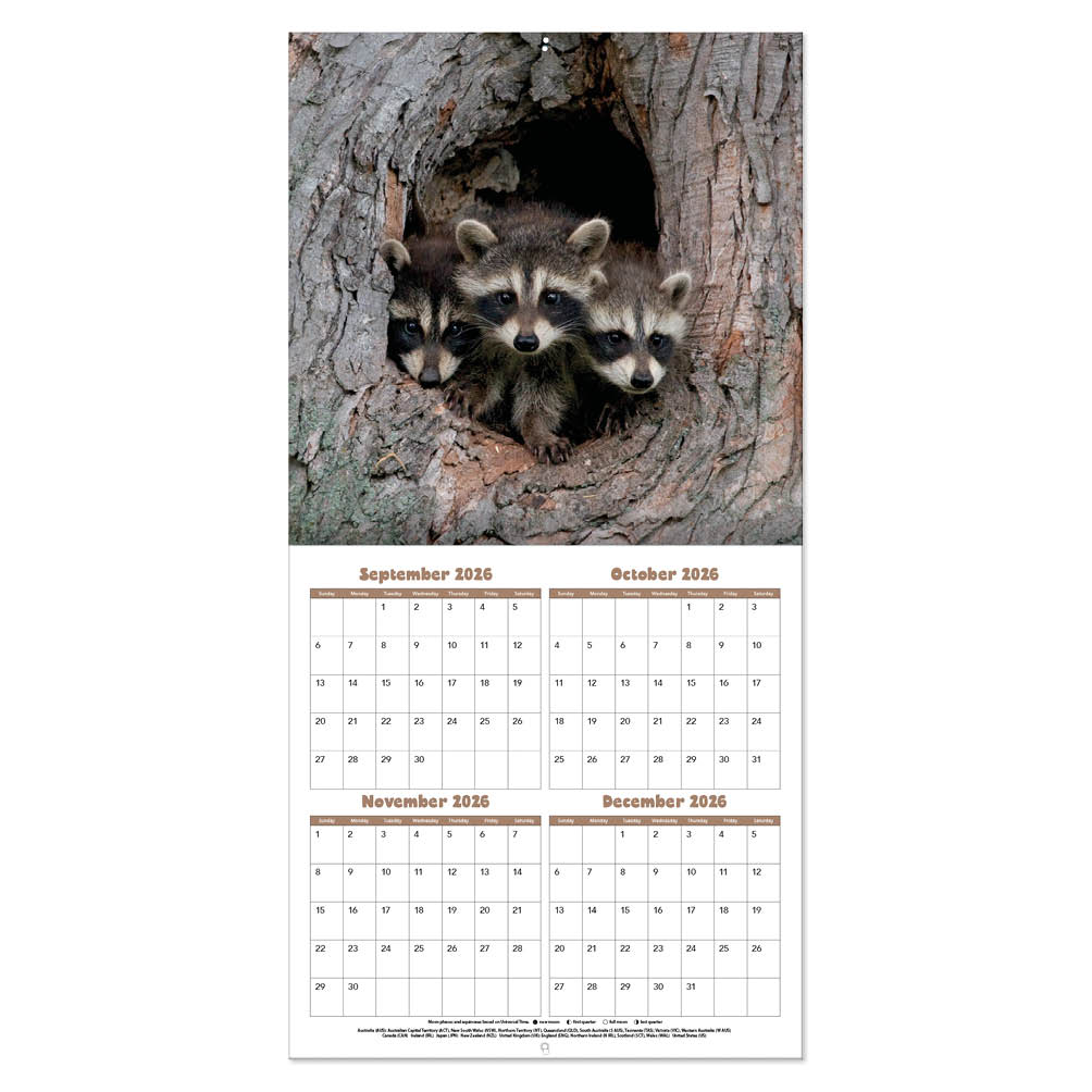 Baby Animals kalender 2027 - Afbeelding 2