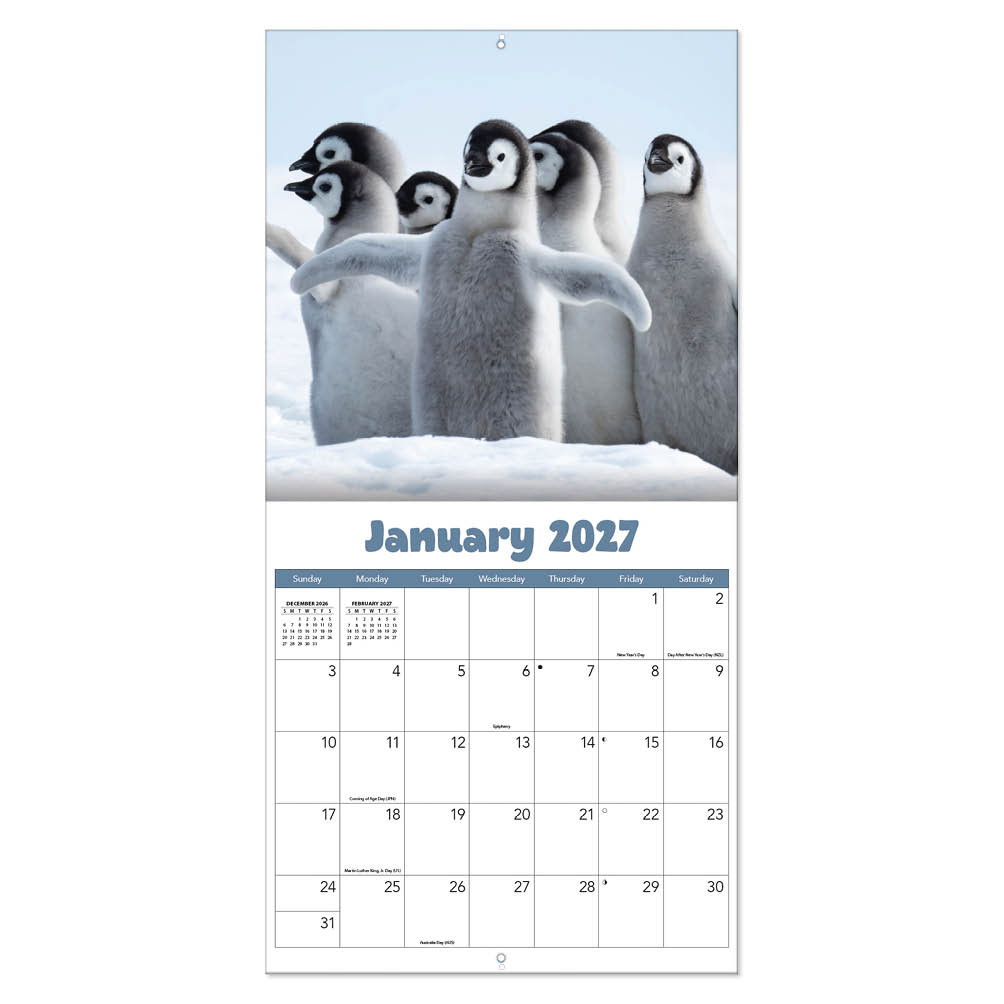 Baby Animals kalender 2027 - Afbeelding 3