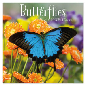 Butterflies kalender 2027