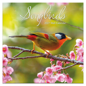Songbirds kalender 2027