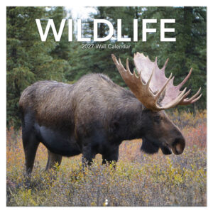 Wildlife kalender 2027
